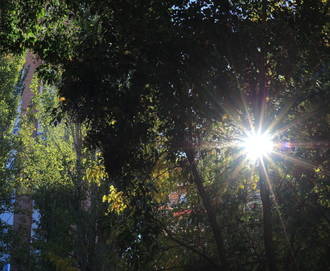 Hasta los 18ºC llegará el mercurio este jueves en Guadalajara donde brillará el sol en unos cielos azules 