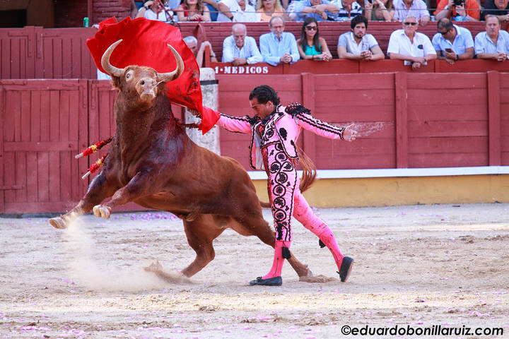 Plaza de toros de Guadalajara, corrida Goyesca 2015. Foto : www.eduardobonillaruiz.com