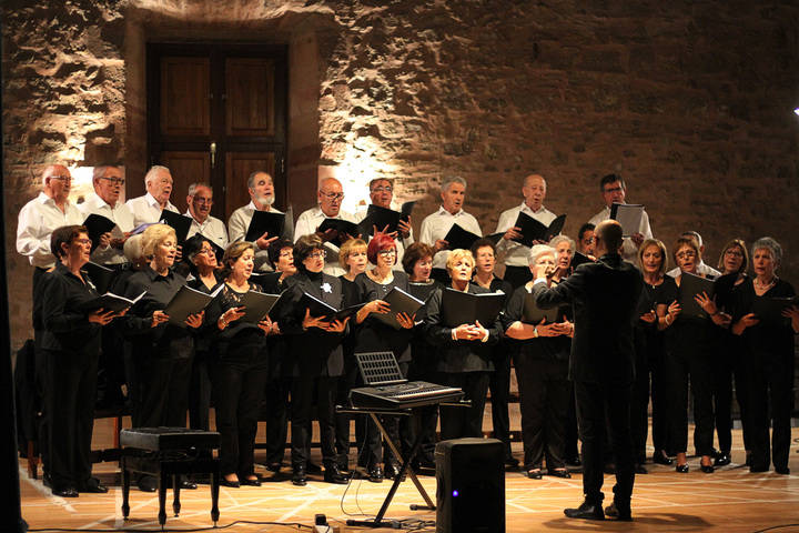 Un emotivo concierto del Coro Amigos de Vitoria cierra la temporada cultural de la AAISS en 2017