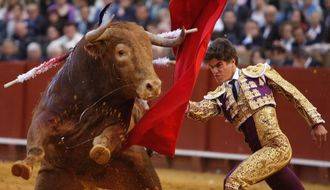 Los XII Premios Taurinos Samueles reconocen a Rubén Pinar por 'la Faena más Completa' de la Feria de Albacete 2017