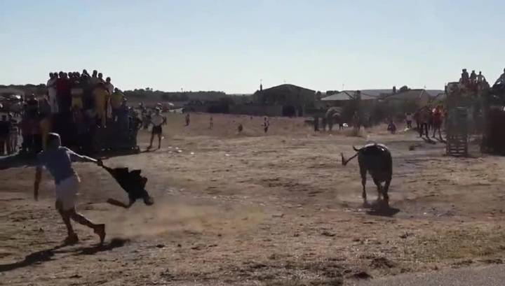 Trágico suceso en Valfermoso: Muere un hombre corneado por un toro