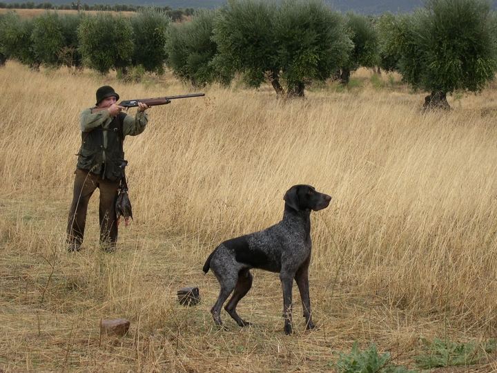Los cazadores de Castilla-La Mancha, muy molestos con la Ley que les quiere imponer la Junta