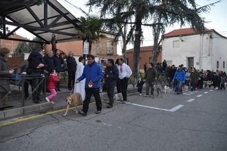 Yunquera de Henares honra a San Antón en su festividad