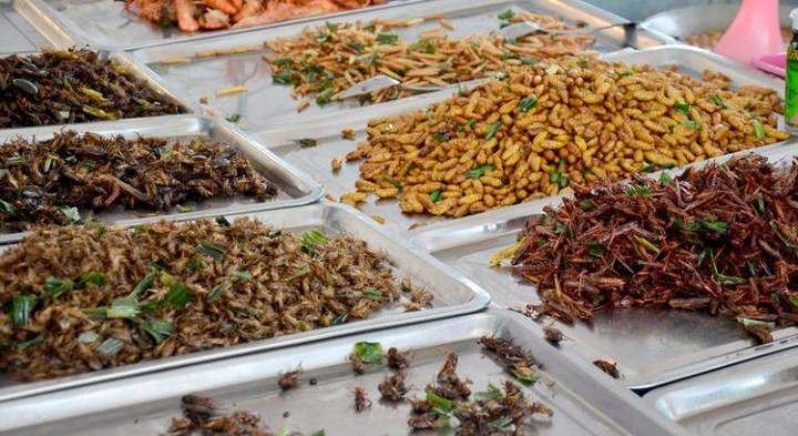 Carrefour pone a la venta en sus lineales alimentos fabricados con "grillos y gusanos"