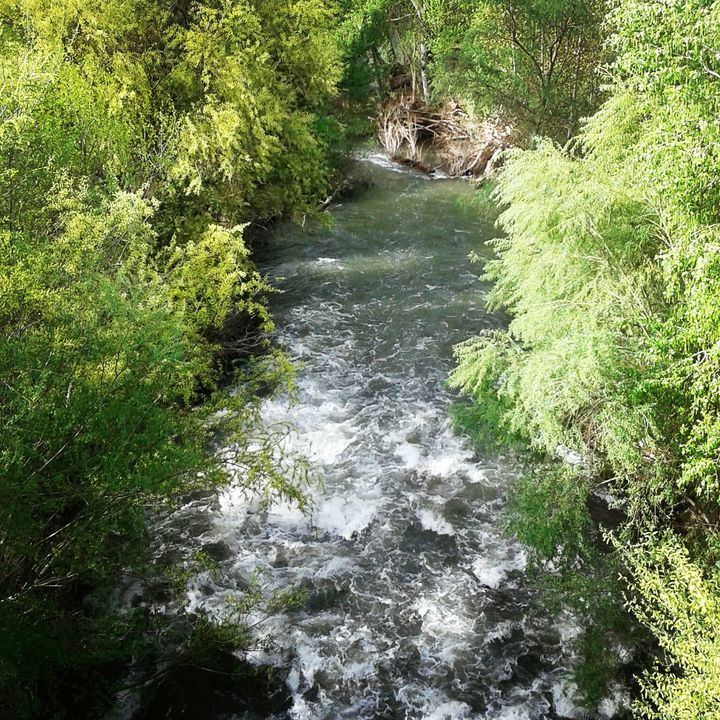 El río Henares a su paso por Guadalajara. Foto : Jacinto García