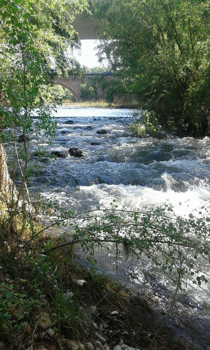 El río Henaers a su paso por Guadalajara. Foto : Jacinto García