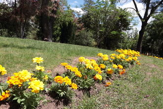 Sábado soleado en Guadalajara con máximas de 34ºC y noches calurosas rondando los 20ºC