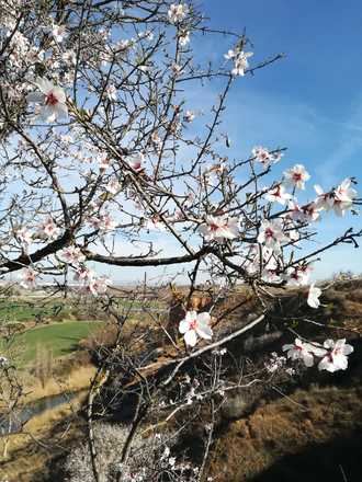 Guadalajara comienza el mes de marzo con cielos soleados y con 5ºC de mínima y 20ºC de máxima