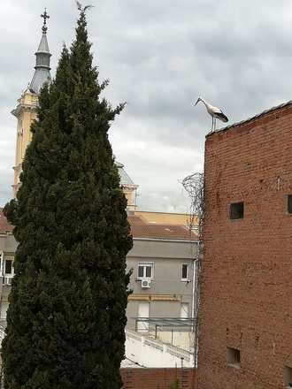 Chubascos dispersos y ratos de sol este martes en Guadalajara llegando el mercurio a los 17ºC