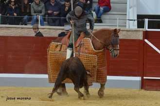 El Tercio de Varas, protagonista del seguno tentadero clasificatorio del &#34;VI Certamen Alfarero de Plata&#34;