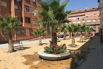 Trabajos de poda y plantaciones ornamentales en la plaza de San Pedro en Azuqueca