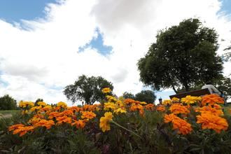 Ligero descenso de las temperaturas este miércoles en Guadalajara con cielos nublados y algún chubasco aislado