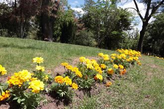 Vuelve el ambiente soleado y las altas temperaturas este viernes en Guadalajara llegando el mercuriio a los 34ºC