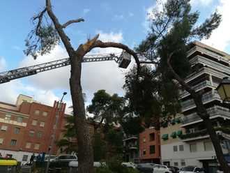 Atendidas este domingo en Guadalajara más de 80 incidencias por la lluvia en solo dos horas