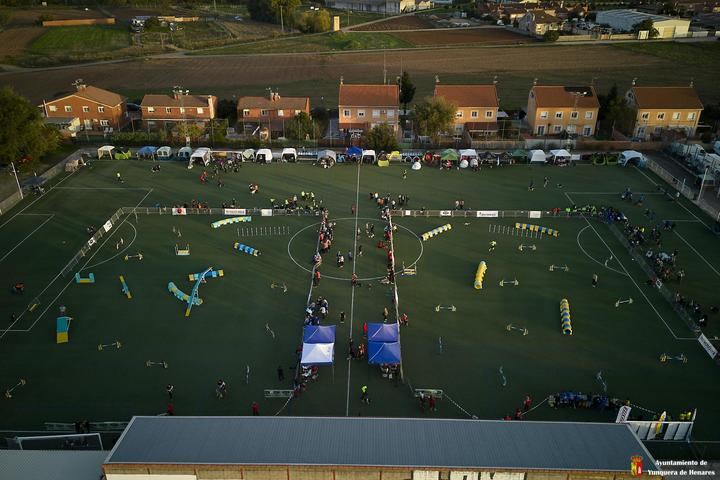 Inaugurado el X Campeonato de España de Agility en Yunquera de Henares