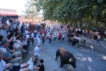 GUADALAJARA EN FIESTAS : Los tradiciones encierros este viernes en Brihuega. Foto : EDUARDO BONILLA