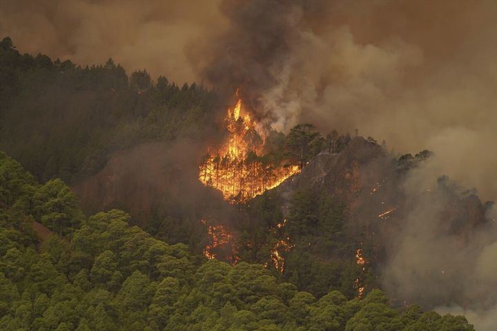 ARDE CANARIAS : 26.000 evacuados por el incendio de Tenerife, que sigue DESCONTROLADO