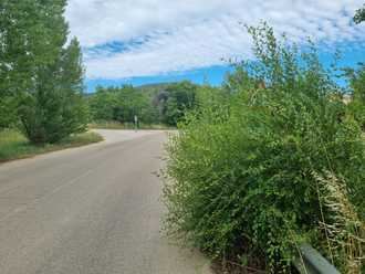 El Grupo Popular preguntará en el Pleno sobre la falta de limpieza de las cunetas de las carreteras provinciales de Guadalajara