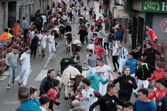 Sin incidencias en el segundo Encierro de Guadalajara, largo y con el riesgo añadido de dos toros descolgados de la manada 