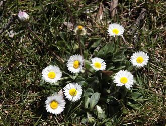 Notable subida de las temperaturas este martes de marzo en Guadalajara llegando el mercurio a los 22ºC