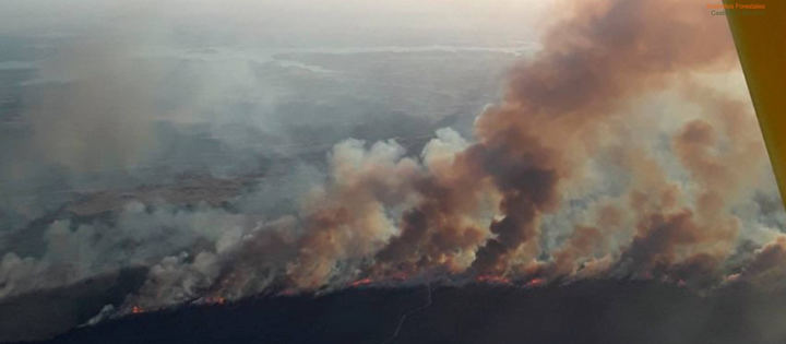 Castilla-La Mancha pide la colaboración de la UME en el fuego de Cuenca, que ha arrasado cerca de 1.500 hectáreas