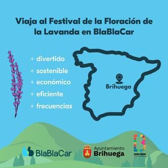 El Ayuntamiento de Brihuega y BlaBlaCar, juntos para promover la movilidad sostenible de cara a la Floración de la Lavanda