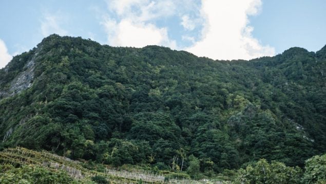 Muere una joven española de 21 años por un corrimiento de tierra en Madeira