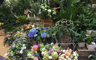 Madrid celebra una nueva edici&#243;n del Mercado de las Flores de Primavera, ejemplo de dinamizaci&#243;n comercial de &#34;Todo est&#225; en Madrid&#34;