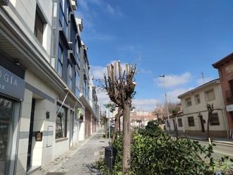 Ecologistas en Acción denuncia "la política arboricida" del Ayuntamiento de Cabanillas del Campo