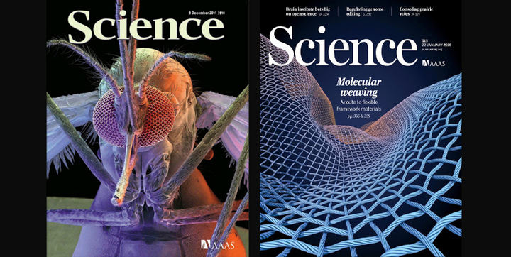 Los diez avances científicos de 2023 según la revista ‘Science’