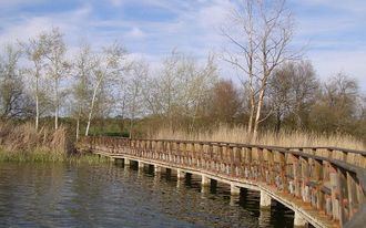 Este lunes se constituye el grupo de trabajo entre el Gobierno de Espa&#241;a y el de Castilla-La Mancha encargado del marco de actuaciones para la recuperaci&#243;n del Parque Nacional de las Tablas de Daimiel