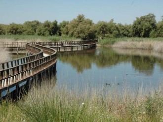 Las principales organizaciones ambientales reclaman un plan urgente que salve el Parque Nacional de las Tablas de Daimiel