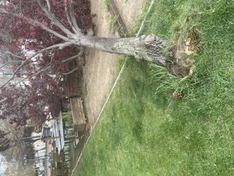 Tormentas intensas con posible granizo este viernes antes de la llegada de un frente fr&#237;o que desplomar&#225; las temperaturas