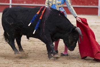 Este sábado y domingo, venta de entradas y abonos de la feria taurina 2024 en la Casa de la Cultura de Azuqueca