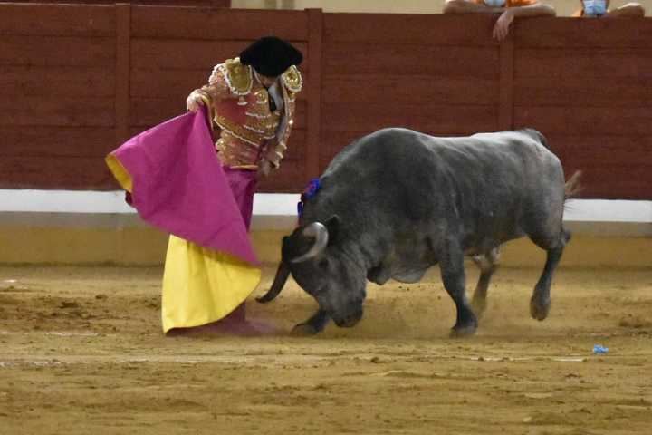 ¡Volvieron los toros a Alcalá!