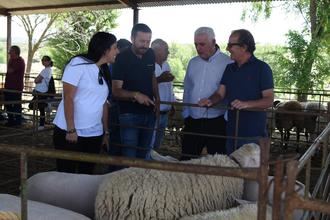 La Diputaci&#243;n de Guadalajara ayuda a APAG y UPA con 47.000 euros para mejorar la formaci&#243;n de agricultores y ganaderos