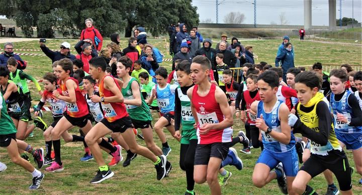Más de 600 atletas vencen al frío y viento en el Campeonato Regional de campo a través en Edad Escolar de Valdeluz