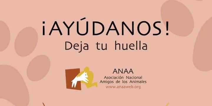 Adopta un amigo: evento solidario en El Casar este 30 de noviembre