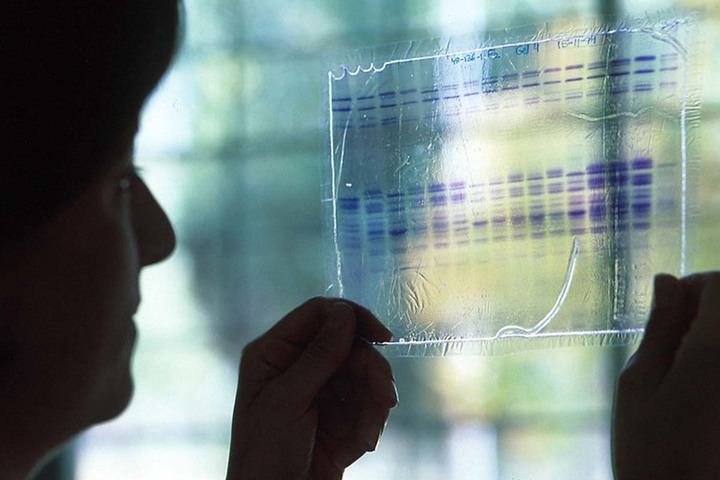 La Oficina de Transferencia de Resultados de Investigación de la UAH recibe el reconocimiento del Ministerio de Ciencia como Oficina de Transferencia del Conocimiento