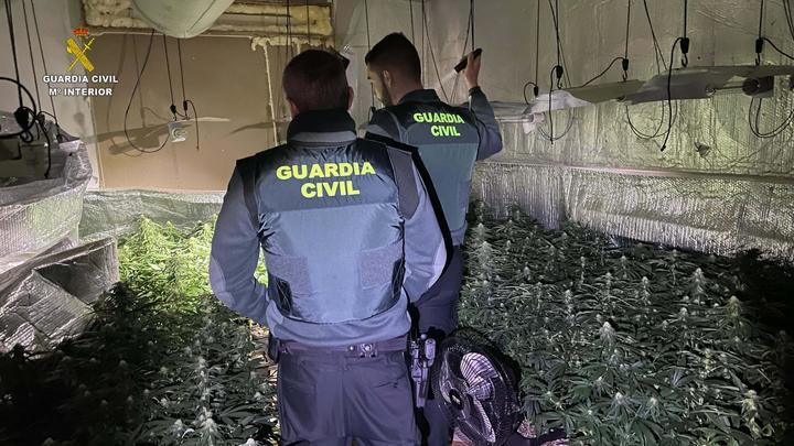 La Guardia Civil desmantela una plantación de marihuana indoor en Robledillo de Mohernando