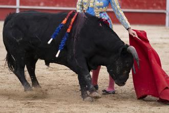 Presentaci&#243;n del Proyecto de Mejora de la Feria Taurina de Guadalajara