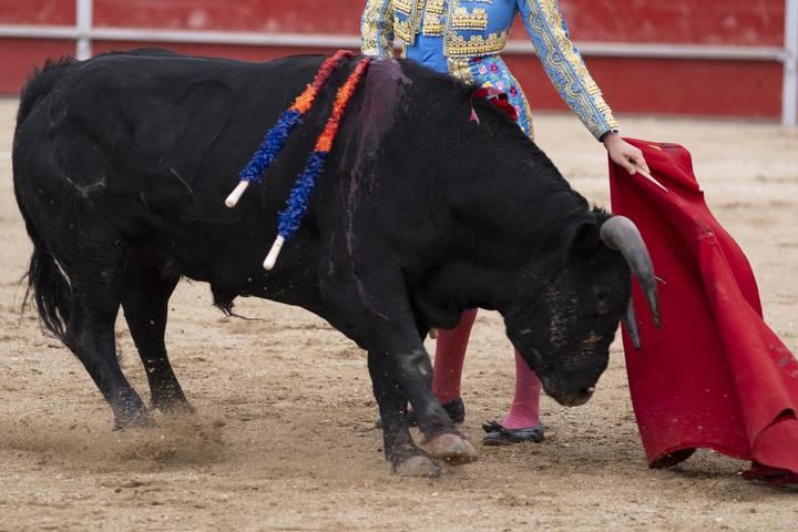 Presentación del Proyecto de Mejora de la Feria Taurina de Guadalajara