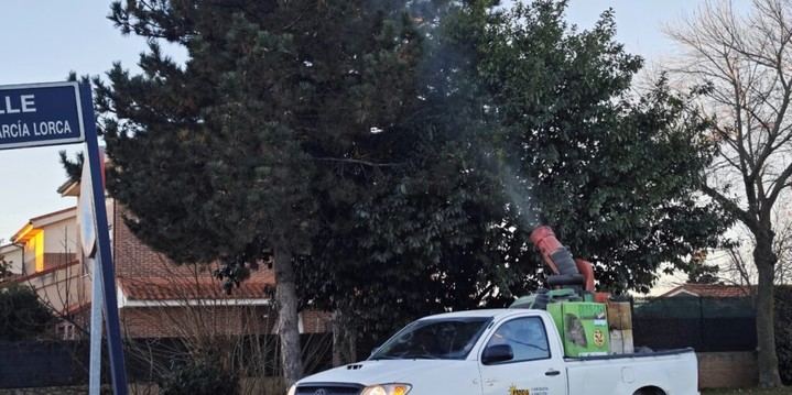 Fumigación preventiva contra la procesionaria en Alovera