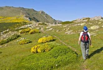 Desde Valverde de los Arroyos parte una ruta de senderismo que culmina en el Pico del Ocejón, en la Sierra Norte.