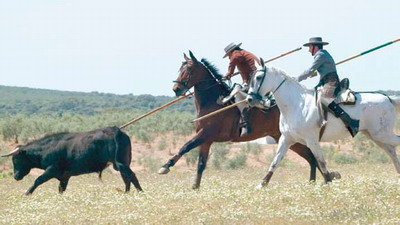 Labores de acoso y derribo a campo abierto.