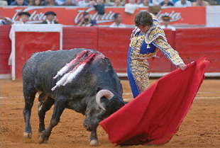 Castella toreando en la plaza México. (Foto: Campo Bravo)