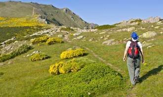 En el proyecto de Parque Natural no se habla del entorno de la Sierra del Pico Ocejón.