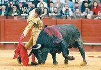 Raúl Gracia “El Tato´ lidiando al toro `Veraniego´ de Victorino Martín en la Feria de Abril sevillana de 1997 / fotos: Campo bravo