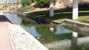 Finalmente se sustituirá la lámina de agua por una losa de hormigón, que eliminará mosquitos y malos olores.