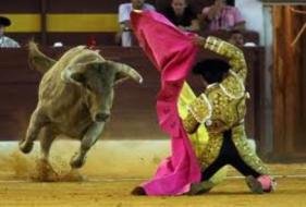 La Junta aprueba declarar los toros Bien de Interés Cultural 